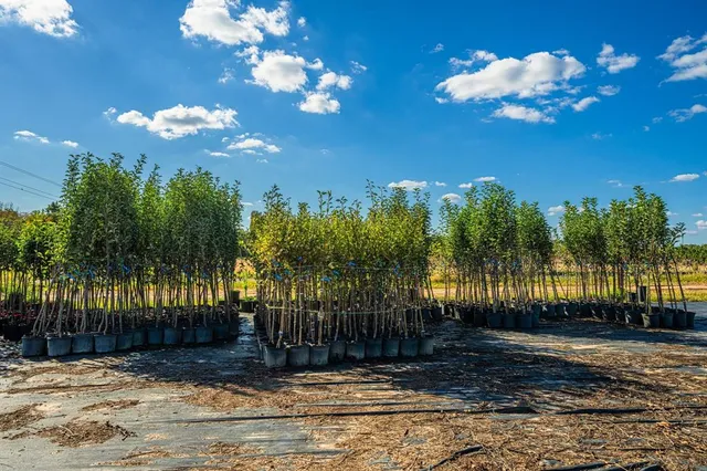 a view of an ocean view