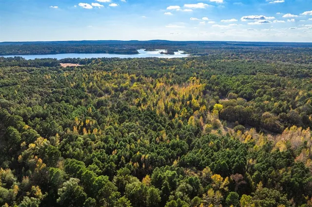 $9,995,000 | 0 Cr-3411, Chandler, TX 75758