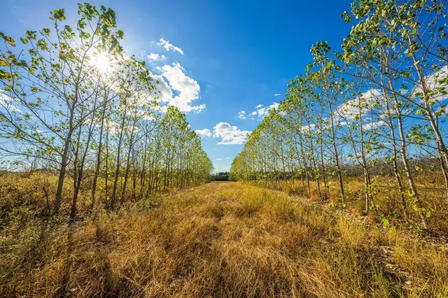 $9,995,000 | 0 Cr-3411, Chandler, TX 75758