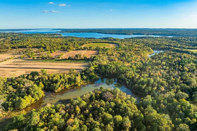 a view of a large body of water surrounded by trees