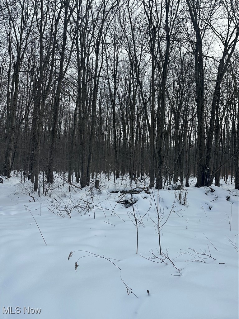 2832 Maple Road Jefferson, OH 44047 - Photo 25 of 26 View of yard layered in snow