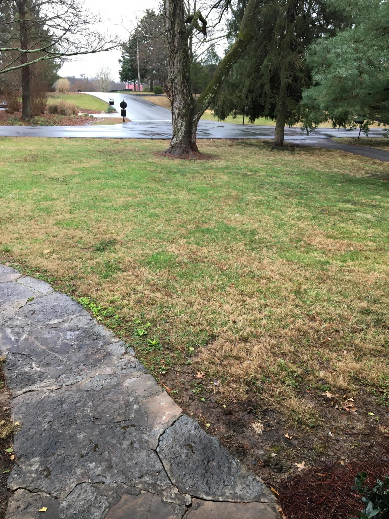 7901 Circle Crest Road Louisville, KY 40241 - Photo 69 of 69 View from front door