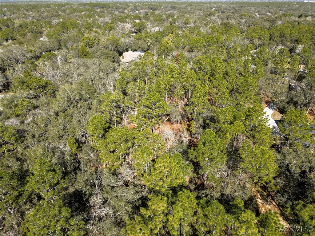 3905 North Longvalley Road Hernando, FL 34442 - Photo 10 of 12