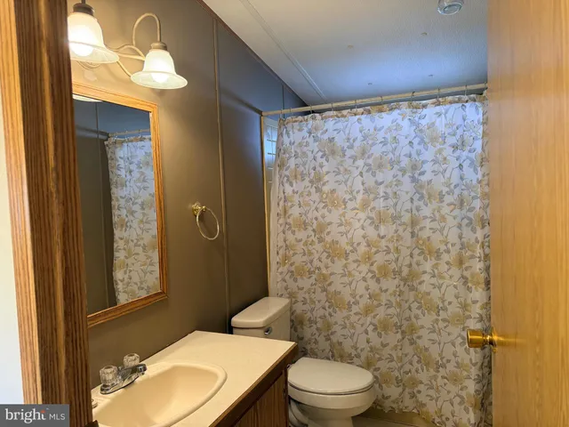 a bathroom with a toilet a sink and shower curtain