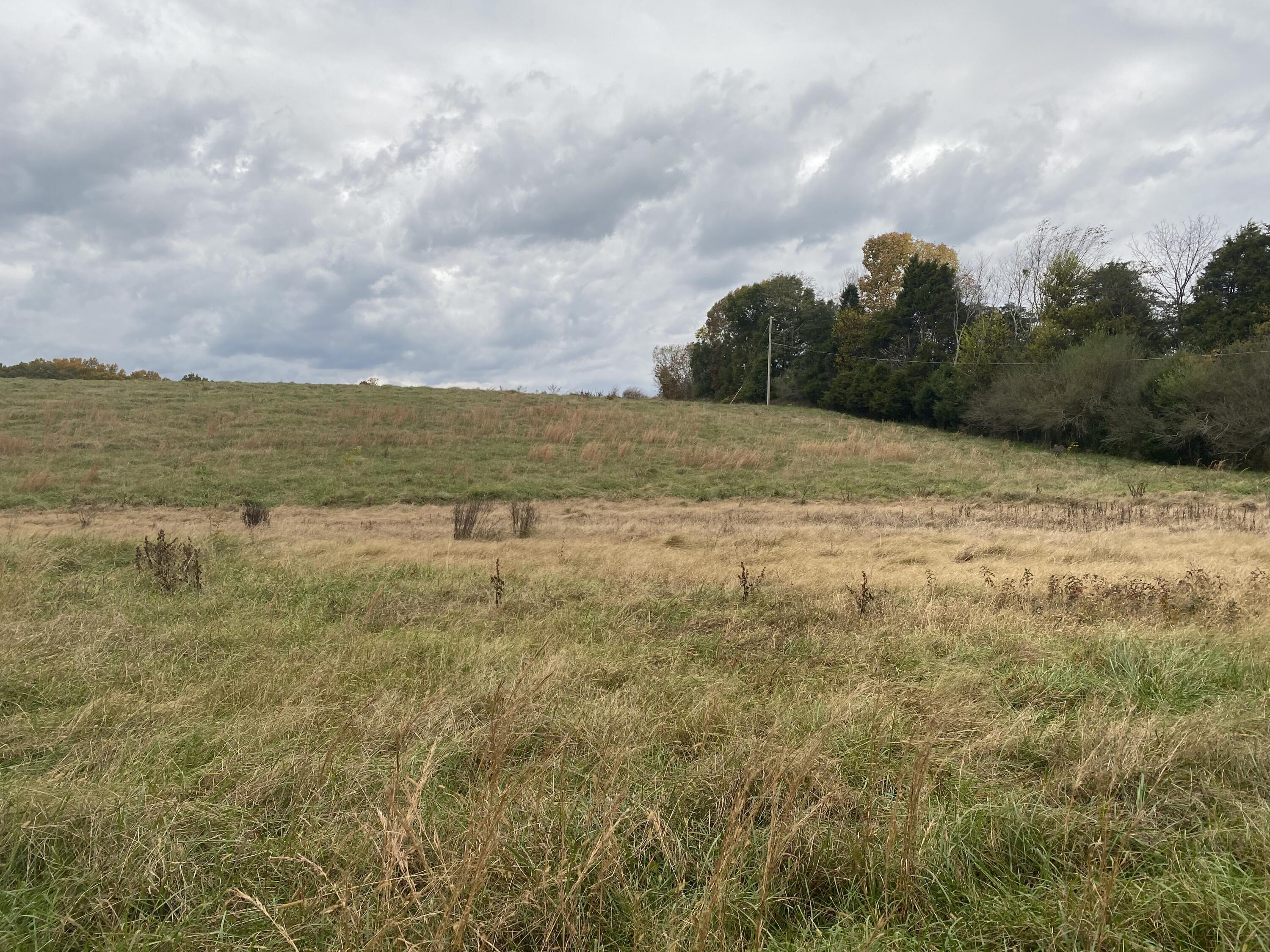0 Long Hollow Road, Unit LOT 2 Ringgold, GA 30736 - Photo 2 of 3 0A7A1AD4-4D87-4217-842A-30B7262AA9C6