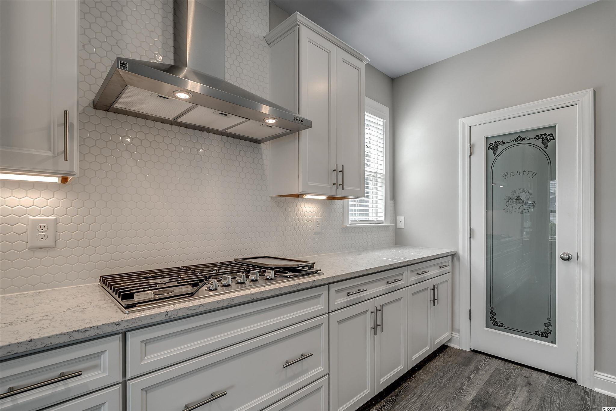 933 Pelagic Loop Myrtle Beach, SC 29579 - Photo 9 of 22 Gallery Image 9