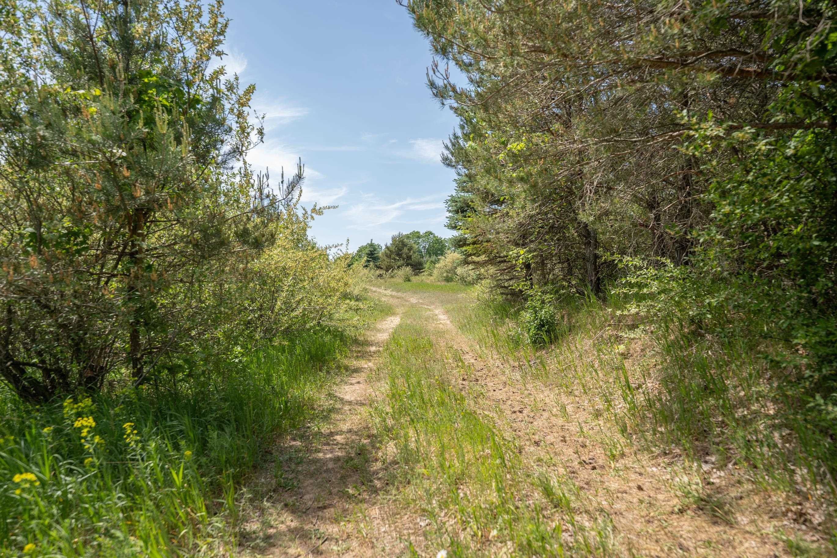 Tbd Traverse Road Thompsonville, MI 49683 - Photo 21 of 40