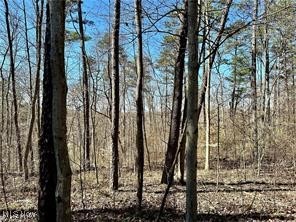 0 Fisher Ridge Road Fleming, OH 45729 - Photo 4 of 6 View of landscape