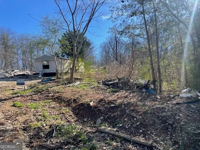 a view of a backyard with large trees