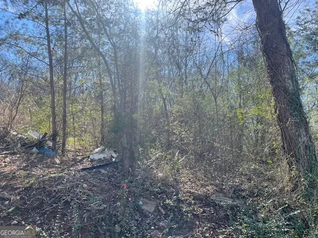 a view of a yard with lots of trees