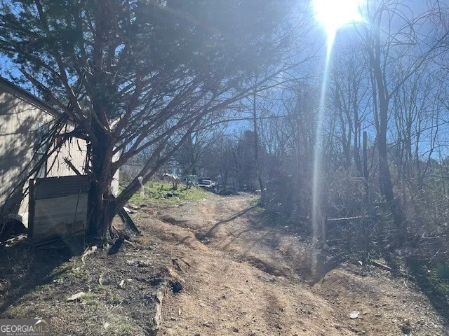 a view of a yard with a tree