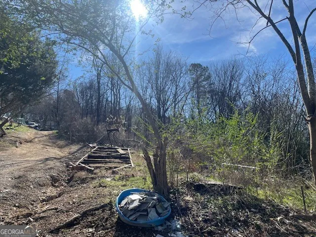 a view of a backyard with plants and trees