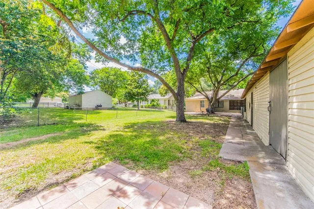 a view of a yard with plants and a bench