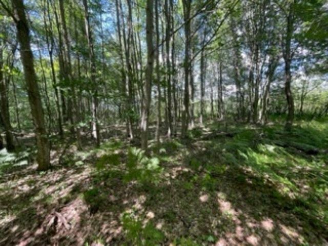 0 North Bowman Road Merritt, MI 49667 - Photo 3 of 24