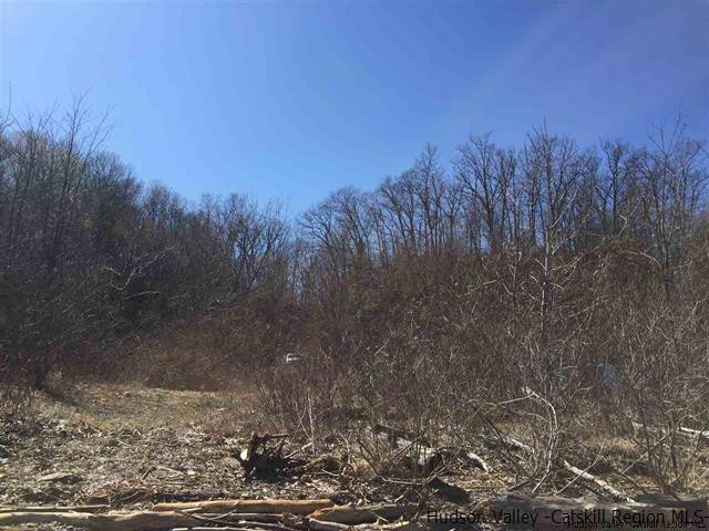 0 Hudson River Road Saugerties, NY 12477 - Photo 11 of 12 Photo 11