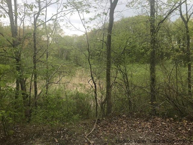 0 Hudson River Road Saugerties, NY 12477 - Photo 9 of 12 Photo 9