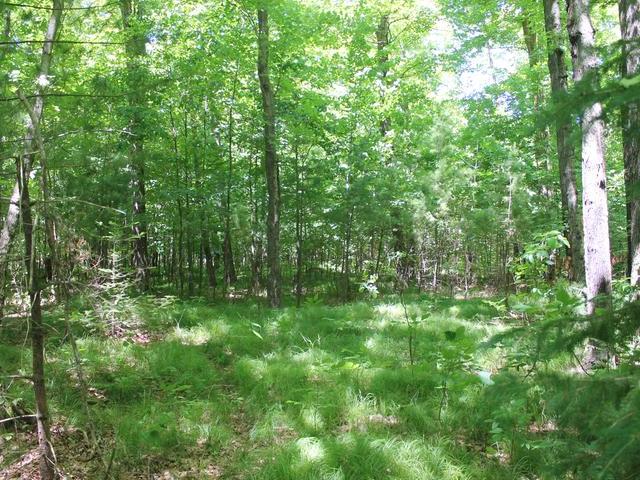 20 Clearview Road Ogema, WI 54459 - Photo 6 of 20 Gallery Image 6