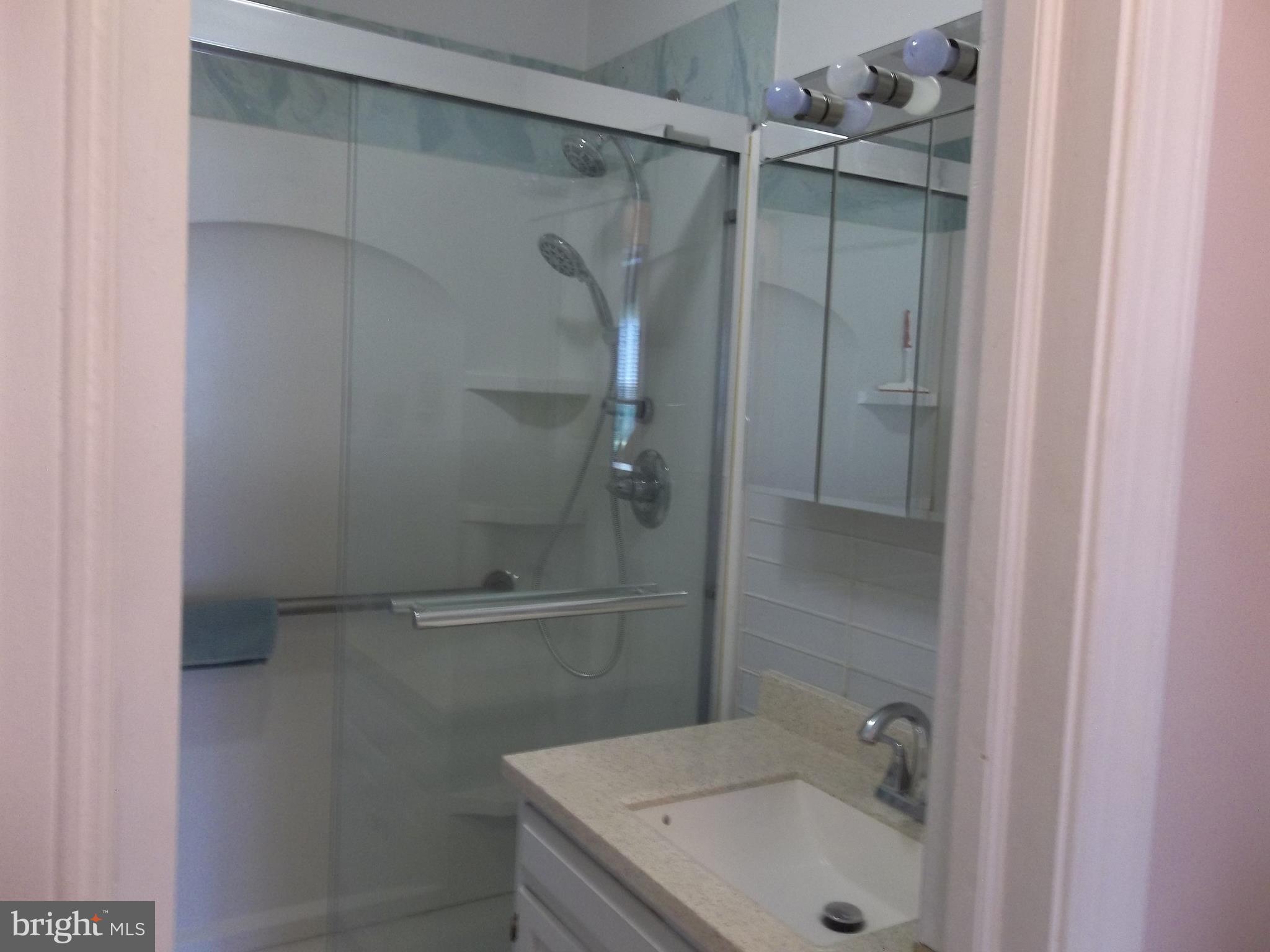 2601 Guard Hill Road Front Royal, VA 22630 - Photo 32 of 83 Oversized Shower