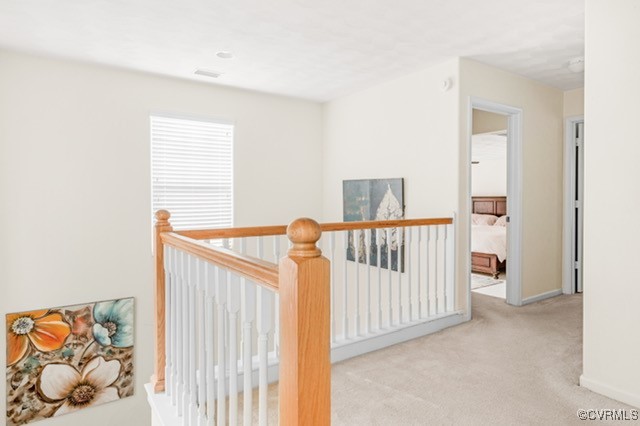 113 Tucker Drive Suffolk, VA 23435 - Photo 12 of 22