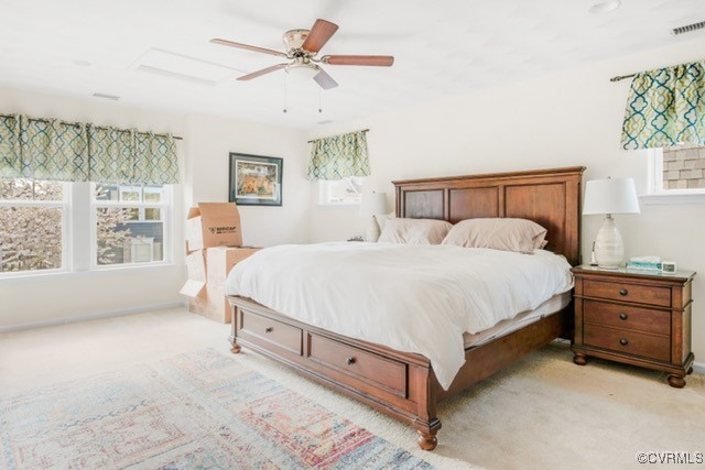 113 Tucker Drive Suffolk, VA 23435 - Photo 21 of 22