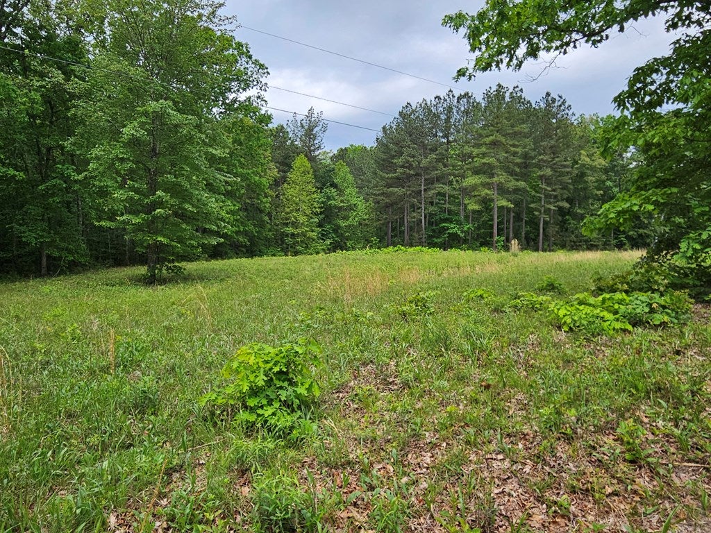 735 Mt Alto Road Esmont, VA 22937 - Photo 3 of 27 Gallery Image 3