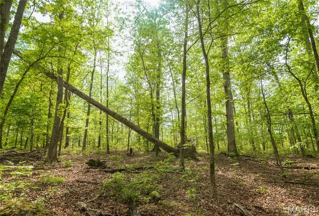 $340,000 | 123 Bush Drive, Zalma, MO 63787