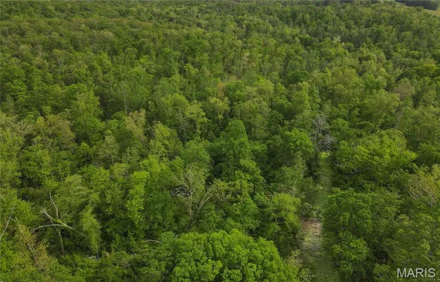 $340,000 | 123 Bush Drive, Zalma, MO 63787