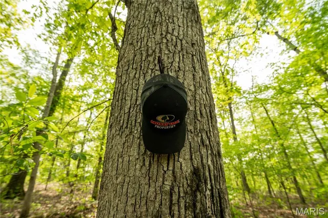 $340,000 | 123 Bush Drive, Zalma, MO 63787