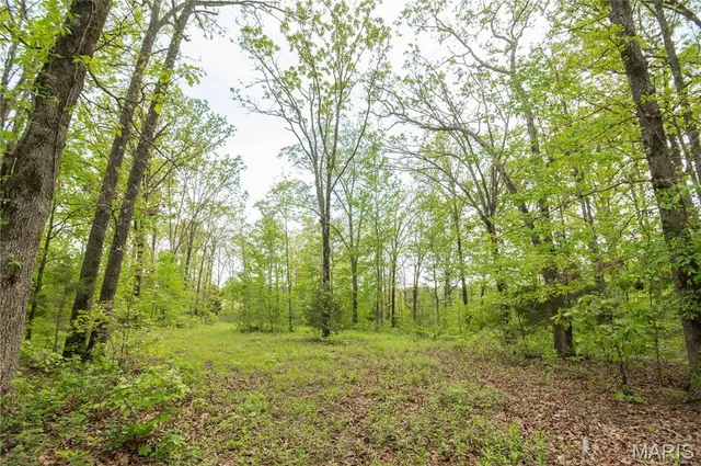 $340,000 | 123 Bush Drive, Zalma, MO 63787