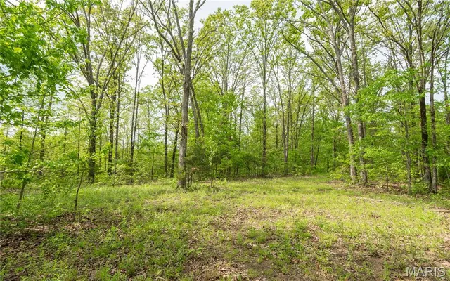 $340,000 | 123 Bush Drive, Zalma, MO 63787