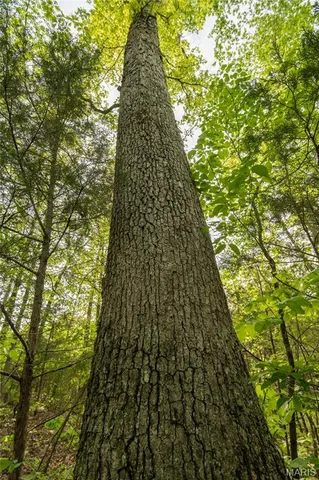 $340,000 | 123 Bush Drive, Zalma, MO 63787