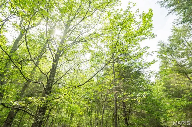 $340,000 | 123 Bush Drive, Zalma, MO 63787