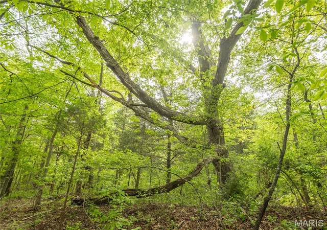 $340,000 | 123 Bush Drive, Zalma, MO 63787