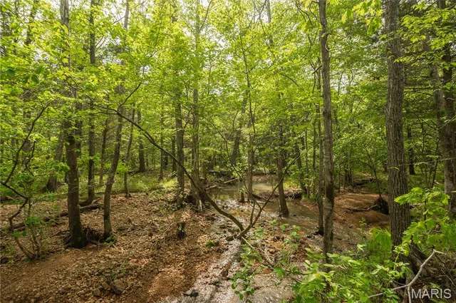 $340,000 | 123 Bush Drive, Zalma, MO 63787