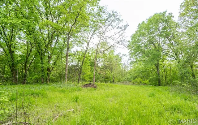 $340,000 | 123 Bush Drive, Zalma, MO 63787