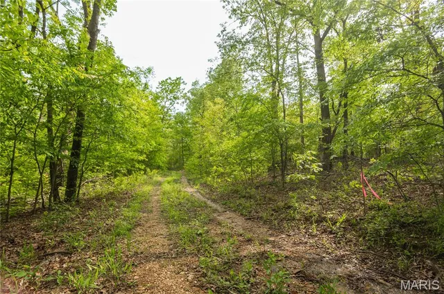 $340,000 | 123 Bush Drive, Zalma, MO 63787