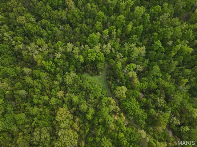 $340,000 | 123 Bush Drive, Zalma, MO 63787