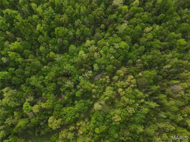 $340,000 | 123 Bush Drive, Zalma, MO 63787