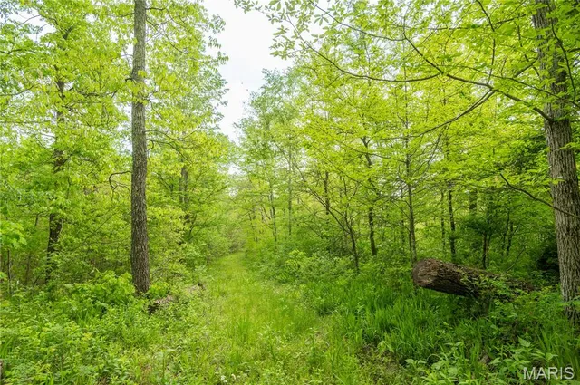 $340,000 | 123 Bush Drive, Zalma, MO 63787