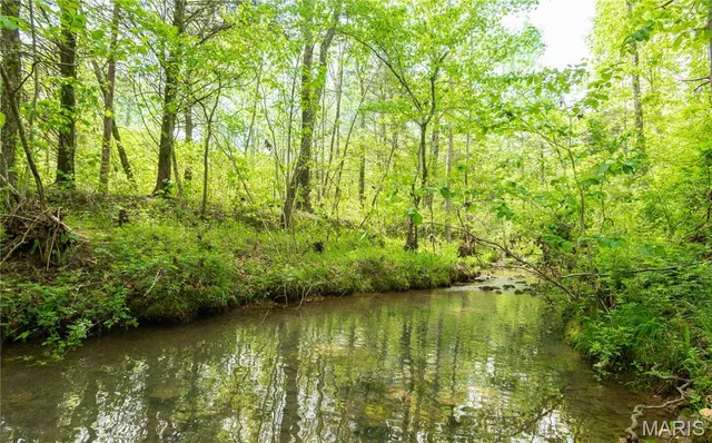 $340,000 | 123 Bush Drive, Zalma, MO 63787