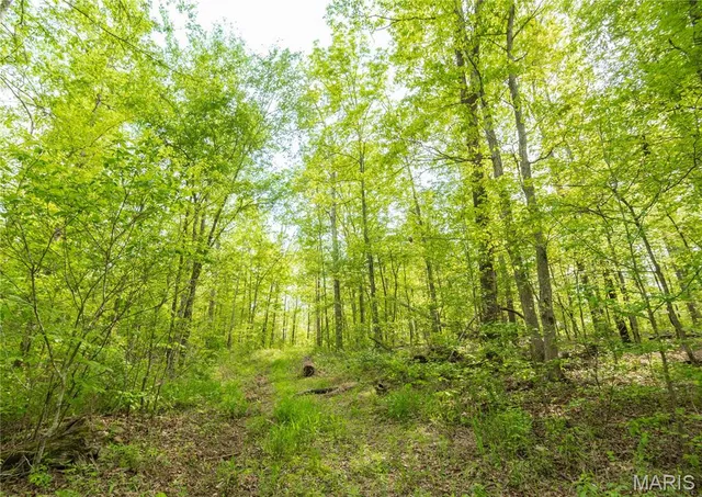 $340,000 | 123 Bush Drive, Zalma, MO 63787