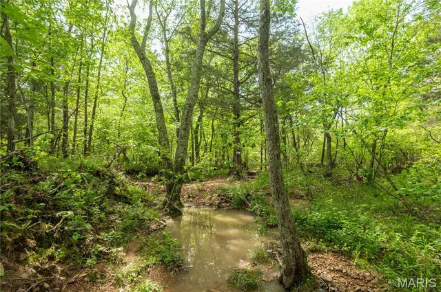 $340,000 | 123 Bush Drive, Zalma, MO 63787