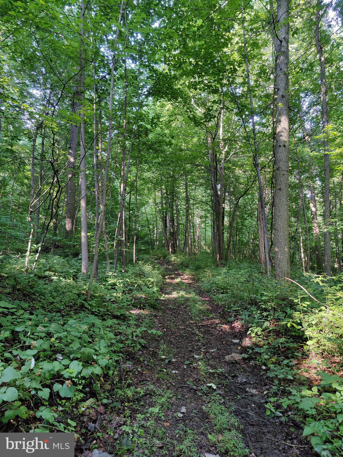 0 Black Road Coatesville, PA 19320 - Photo 11 of 17