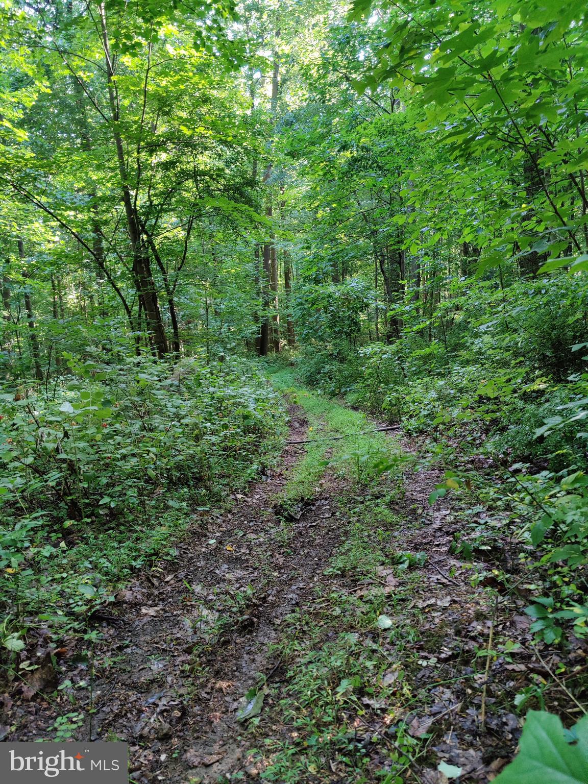 0 Black Road Coatesville, PA 19320 - Photo 12 of 17
