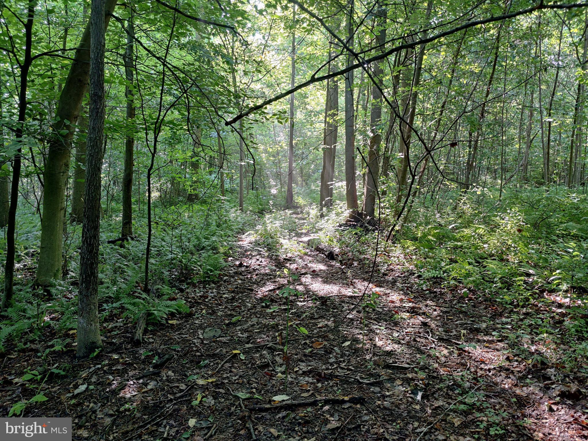 0 Black Road Coatesville, PA 19320 - Photo 6 of 17