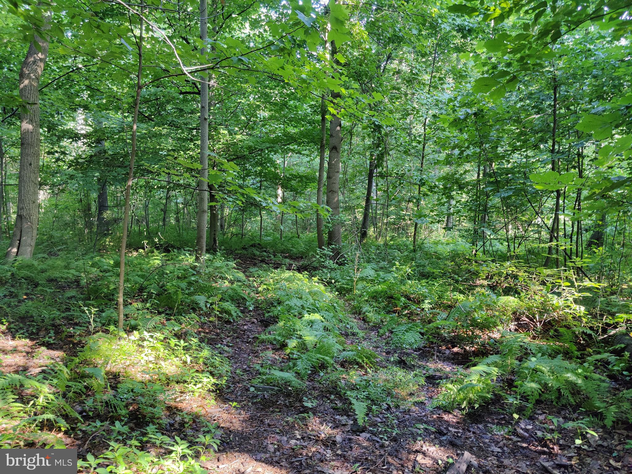 0 Black Road Coatesville, PA 19320 - Photo 7 of 17