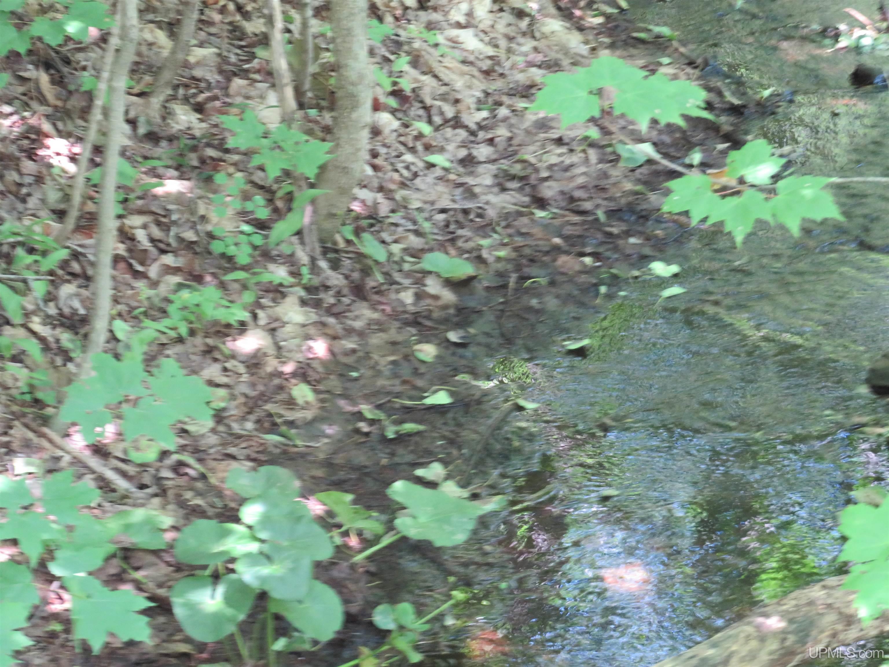 Tbd Curlew Road Ontonagon, MI 49953 - Photo 29 of 36