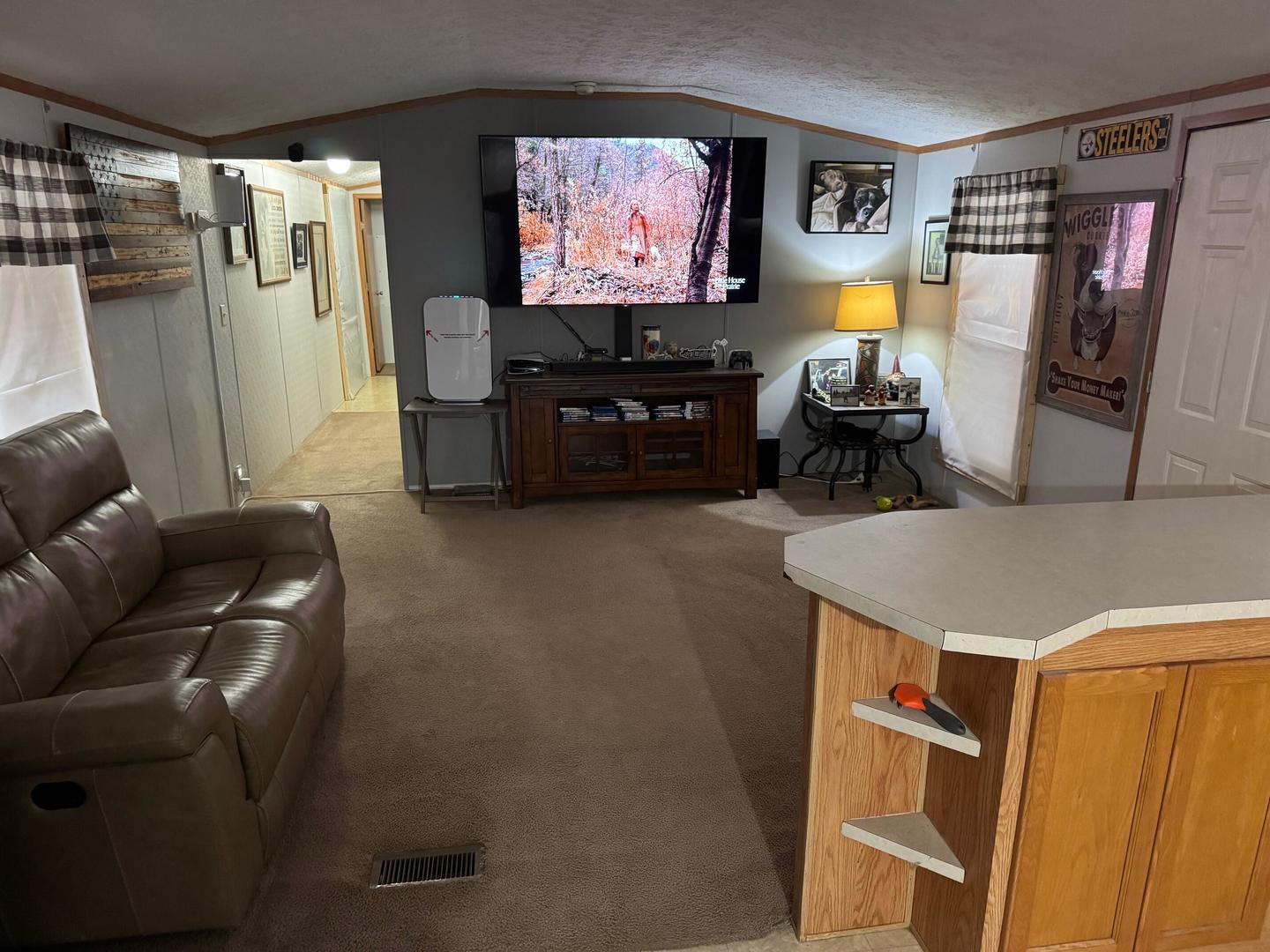 225 Parker Street Bulpitt, IL 62517 - Photo 11 of 12 a living room with furniture and a flat screen tv