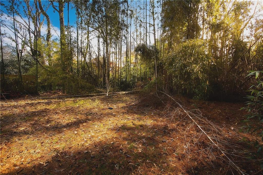 924 Brookdale Place Decatur, GA 30033 - Photo 19 of 19 a view of outdoor space with deck and tree
