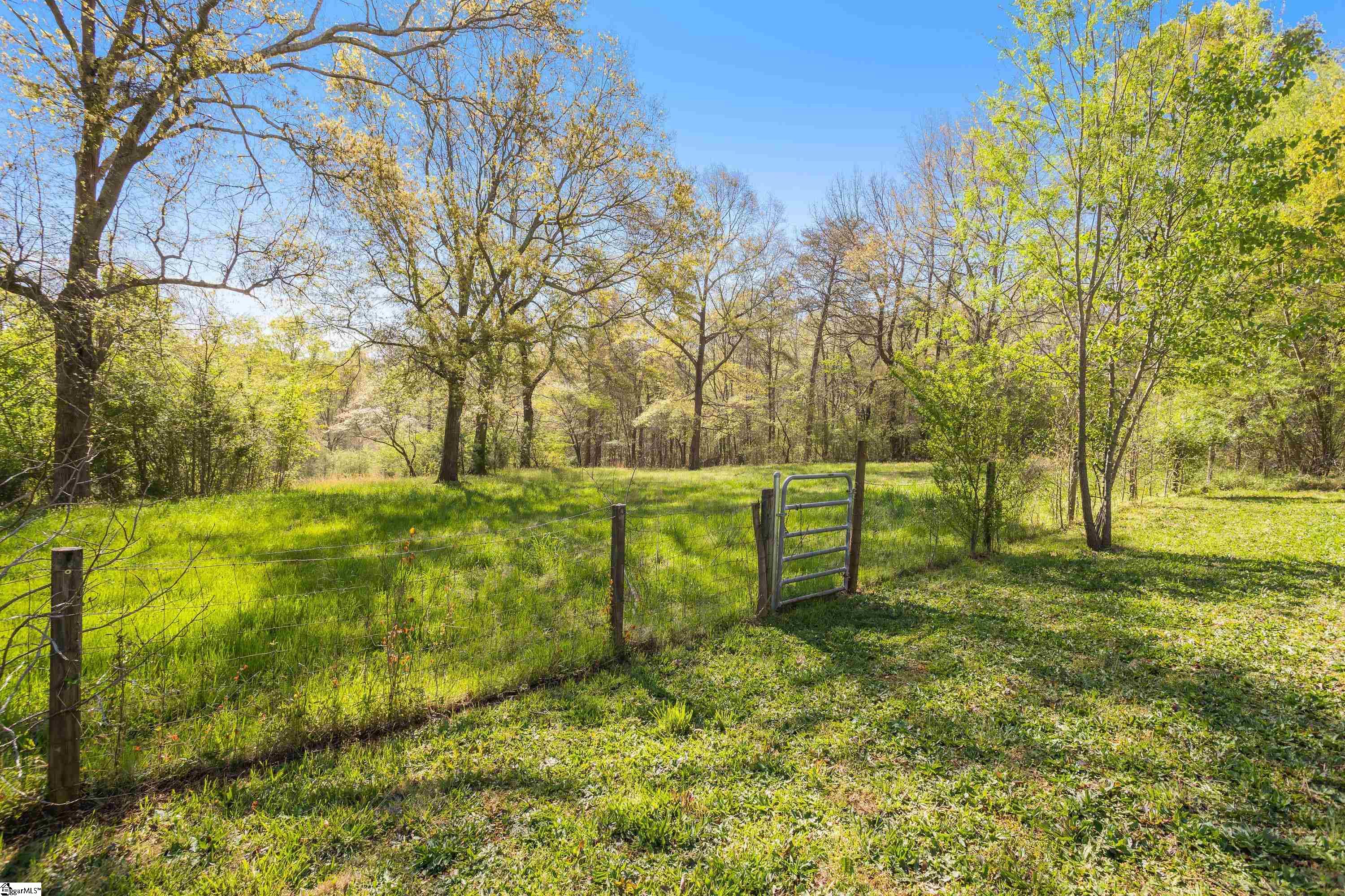 3402 Cannon Road Greer, SC 29651 - Photo 11 of 33